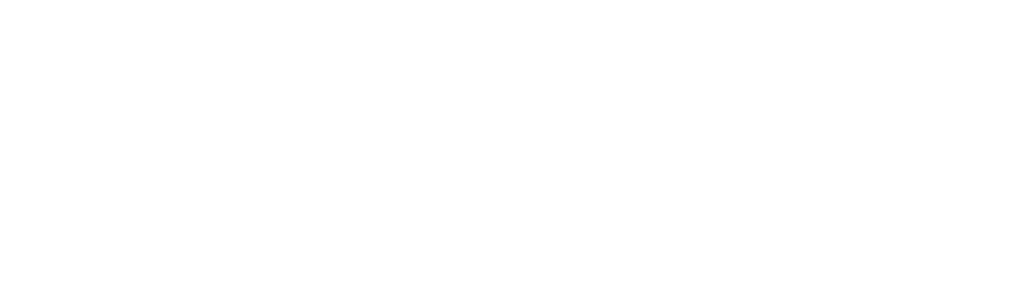 Logo Dani Salomão Assinatura